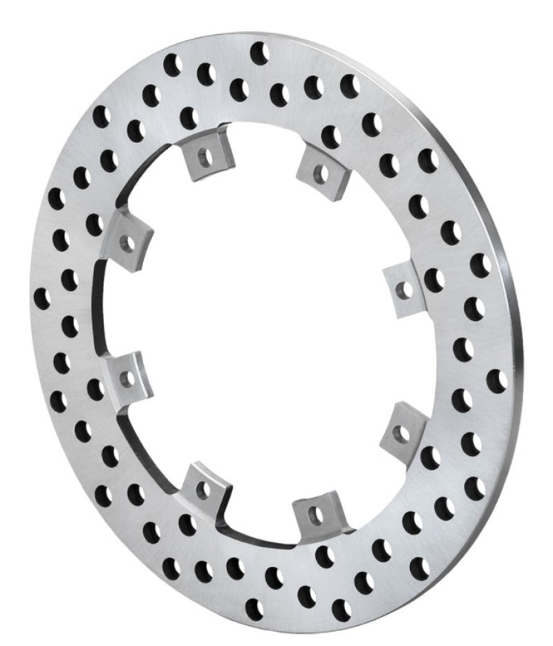 Wilwood Super Alloy Drilled Rotor - 8x7.00in 160-14155 160-14155 User 1