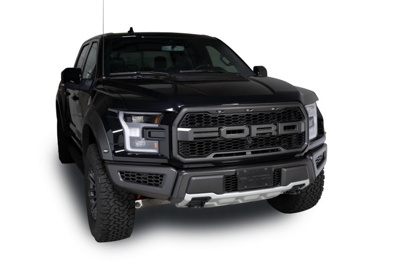 Putco 18-20 Ford F-150 Raptor - Hex Shield - Black Powder Coated Bumper Grille Inserts 83168 83168 Photo - Mounted