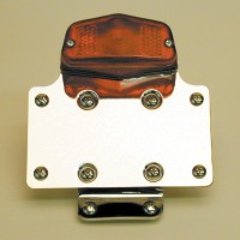 National Cycle Classic Custom Tail Light Fender Mount N971R12A N971R12A User 1