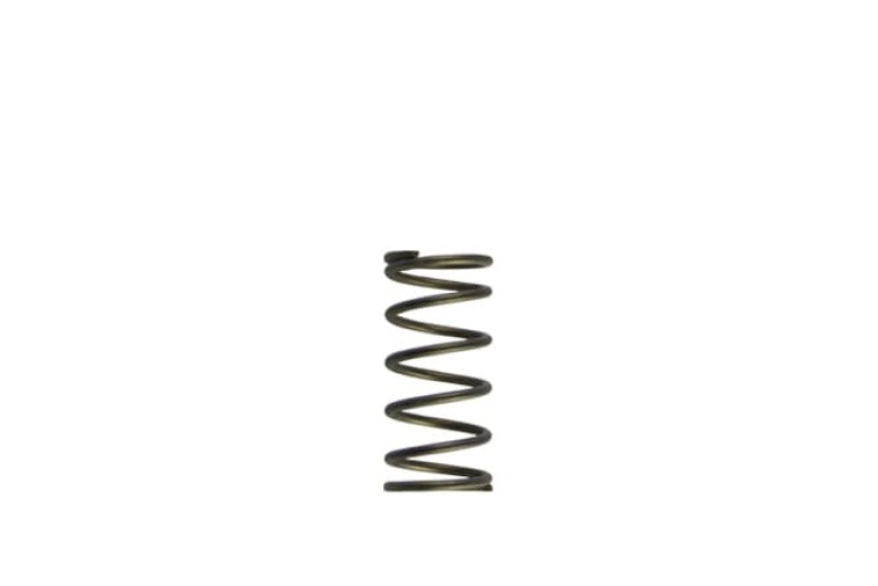 Turbosmart Gen-V WG60 5psi Purple Inner Spring TS-0550-3090 TS-0550-3090 Photo - Primary