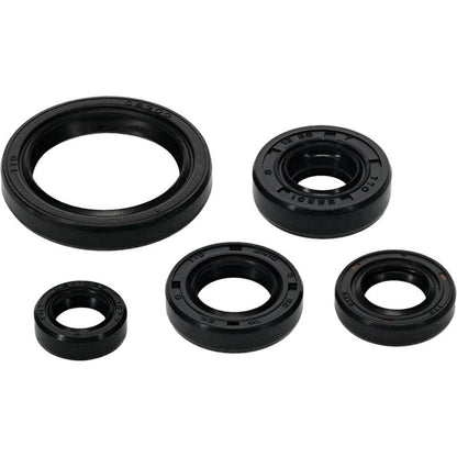 Vertex Pistons Vertex Gaskets 20-23 Yamaha WR250F Oil Seal Kit 822994 822994 Photo - Primary