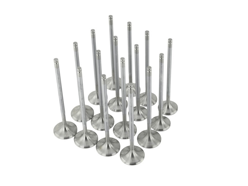 Skunk2 Alpha Series Valves Honda/Acura Stock Size D Series (Standard Comp) 310-05-1600 Photo - Unmounted