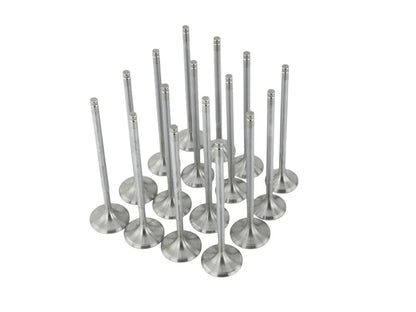 Skunk2 Alpha Series Valves Honda/Acura Stock Size D Series (Standard Comp) 310-05-1600 Photo - Unmounted