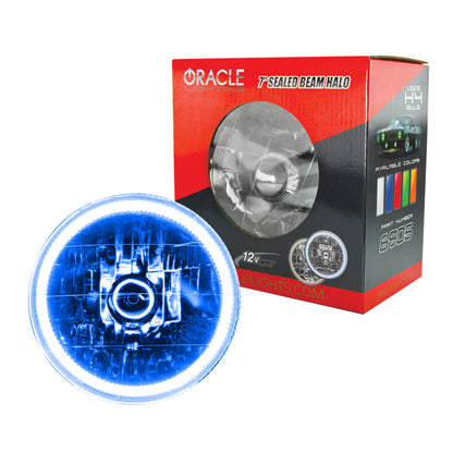 ORACLE Lighting Oracle Pre-Installed Lights 7 IN. Sealed Beam - Blue Halo 6905-002 6905-002 Photo - Primary