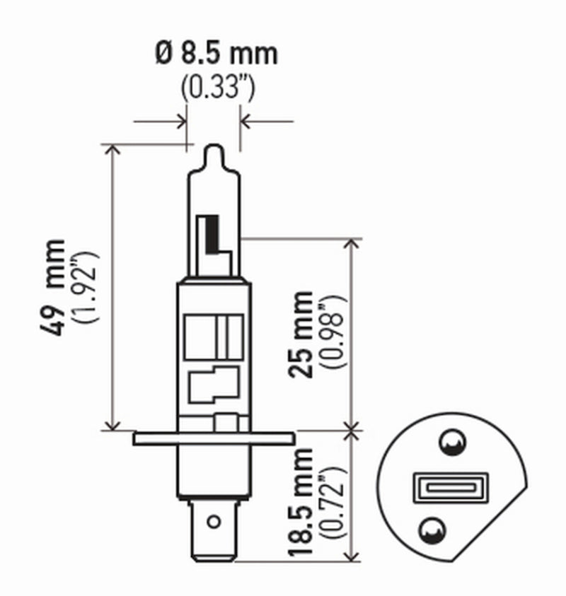 Hella Bulb H1 12V 55W P145S T25 Sb H1SB H1SB Technical Drawing