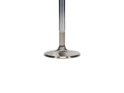 Manley Chevy LS-1 Small Block 2.055 Pro Flo Severe Duty Exhaust Valves (Set of 8) 11680-8 11680-8 User 3
