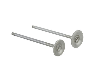 Skunk2 Alpha Series Valves Honda/Acura Stock Size D Series (Standard Comp) 310-05-1600 Photo - Unmounted
