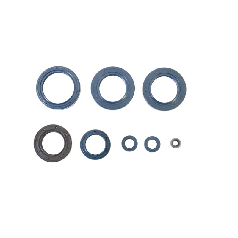 Athena 85-90 Aprilia ETX 350 Engine Oil Seal Kit P400010400020 P400010400020 Photo - Primary