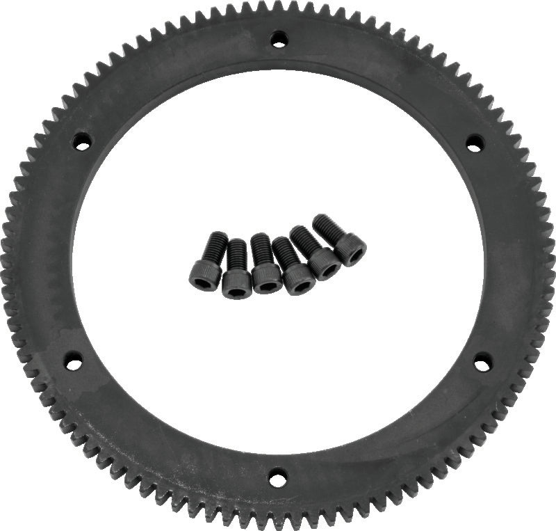 TwinPower S-Ring Gear 94-97 102Tooth 482453 482453 Photo - Primary