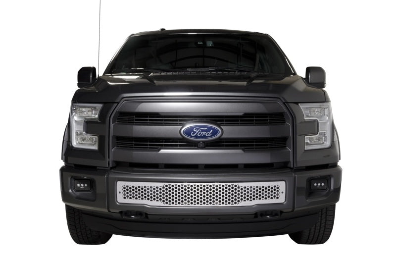 Putco 2015-2017, Ford F150 - Stainless Steel Punch Design 85160 Photo - Mounted
