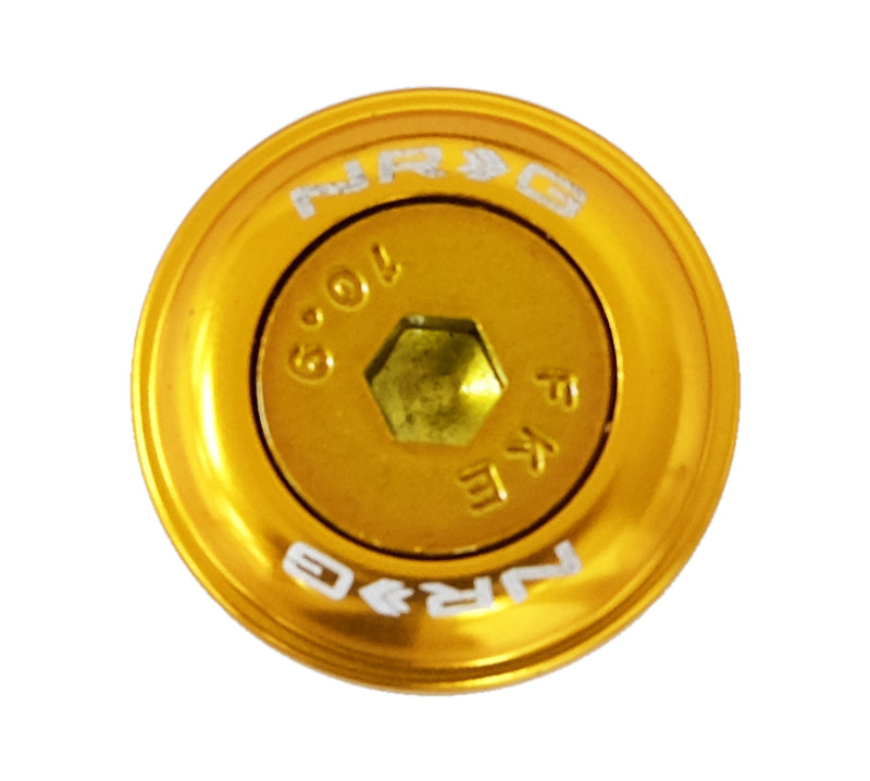 NRG Fender Washer Kit w/Color Matched M6 Bolt Rivets For Plastic (Rose Gold) - Set of 10 FW-150RG FW-150RG Photo - Primary