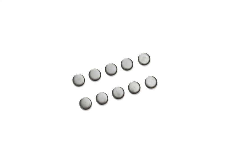 Ford Performance Parts Ford Racing Cylinder Block Camshaft Plug M-6026-S351 Photo - Unmounted