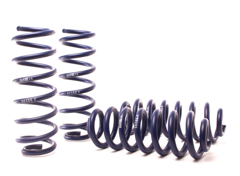 H&R 18-19 Audi Q5 Premium/Q5 Premium Plus/Q5 Prestige (AWD) Raising Spring 50380 Photo - Primary