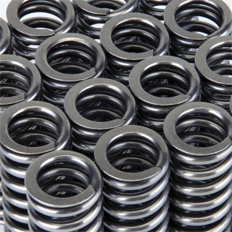 Skunk2 Alpha Series Valve Spring Set Honda SOHC D-Series VTEC 311-05-1345 Photo - Unmounted