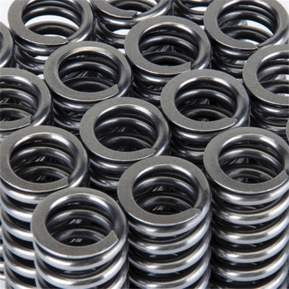 Skunk2 Alpha Series Valve Spring Set Honda SOHC D-Series VTEC 311-05-1345 Photo - Unmounted