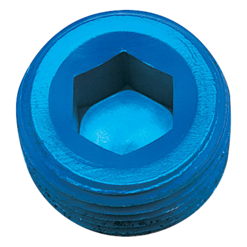 Russell 3/4" Aluminum Allen Socket Pipe Plugs (Blue Finish) 662070 Photo - Primary