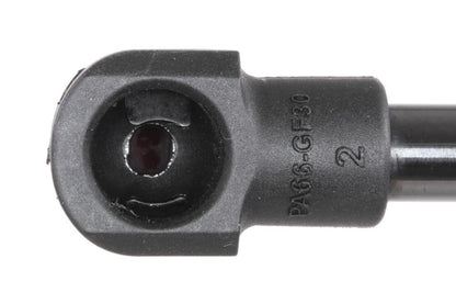 ACKOJA Tailgate Lift Support A37-0157