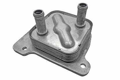 Ackoja A38-60-0021