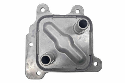 Ackoja A38-60-0021