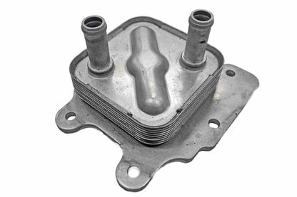 Ackoja A38-60-0021
