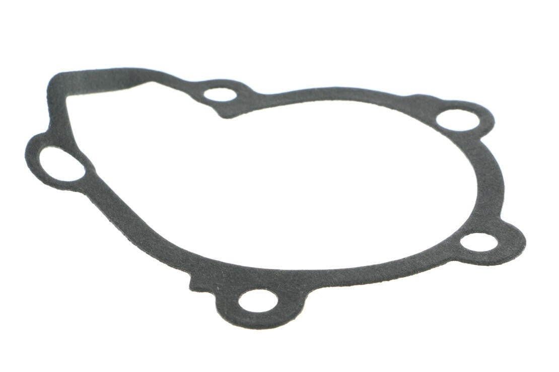 ACKOJA Engine Water Pump A52-50001