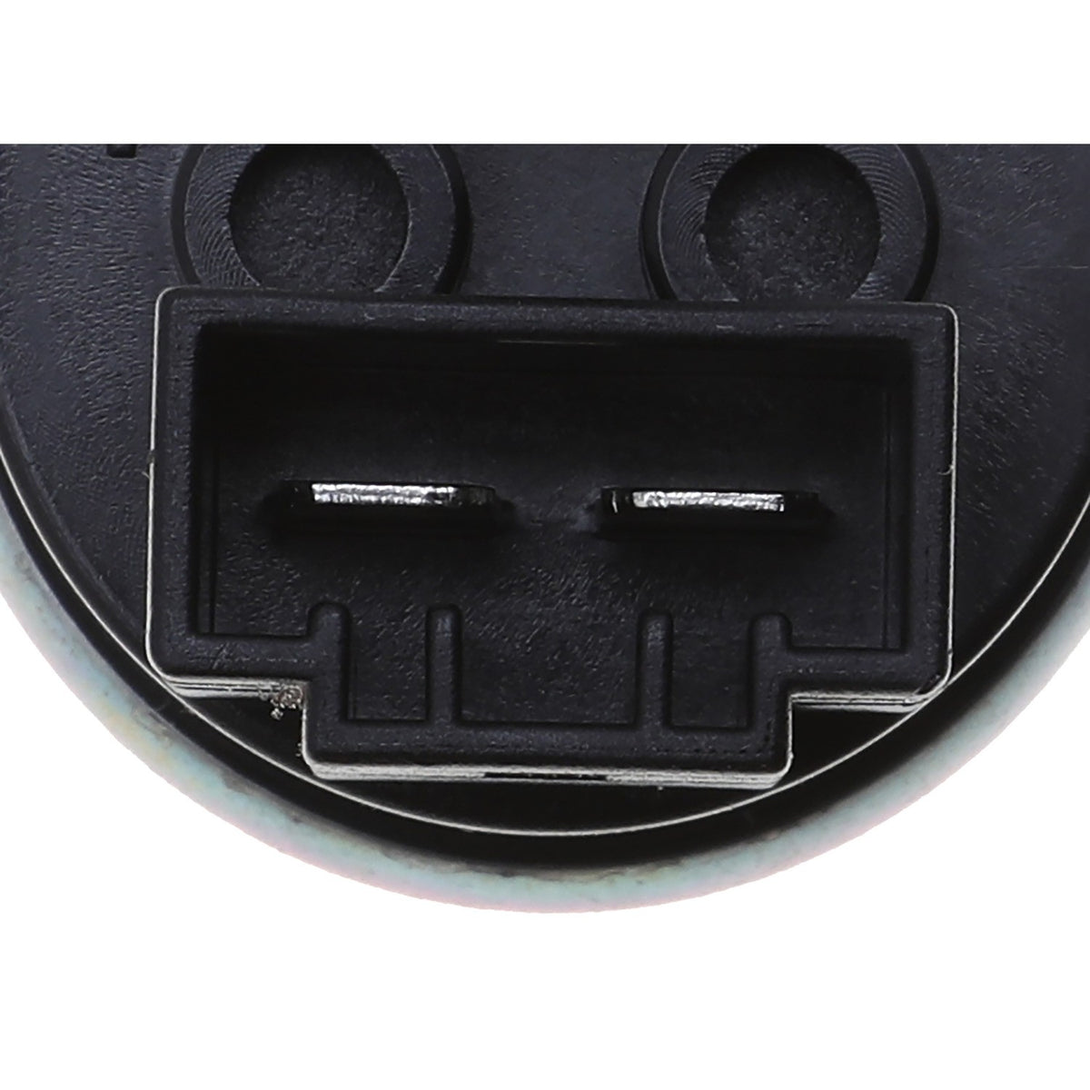 Carter Fuel Pump and Strainer Set P74179