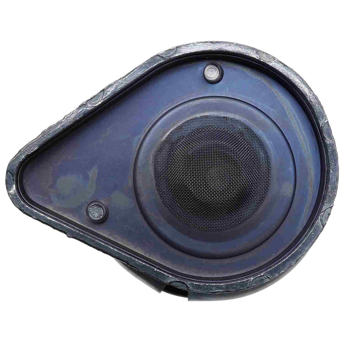 Carter Fuel Pump and Strainer Set P74187