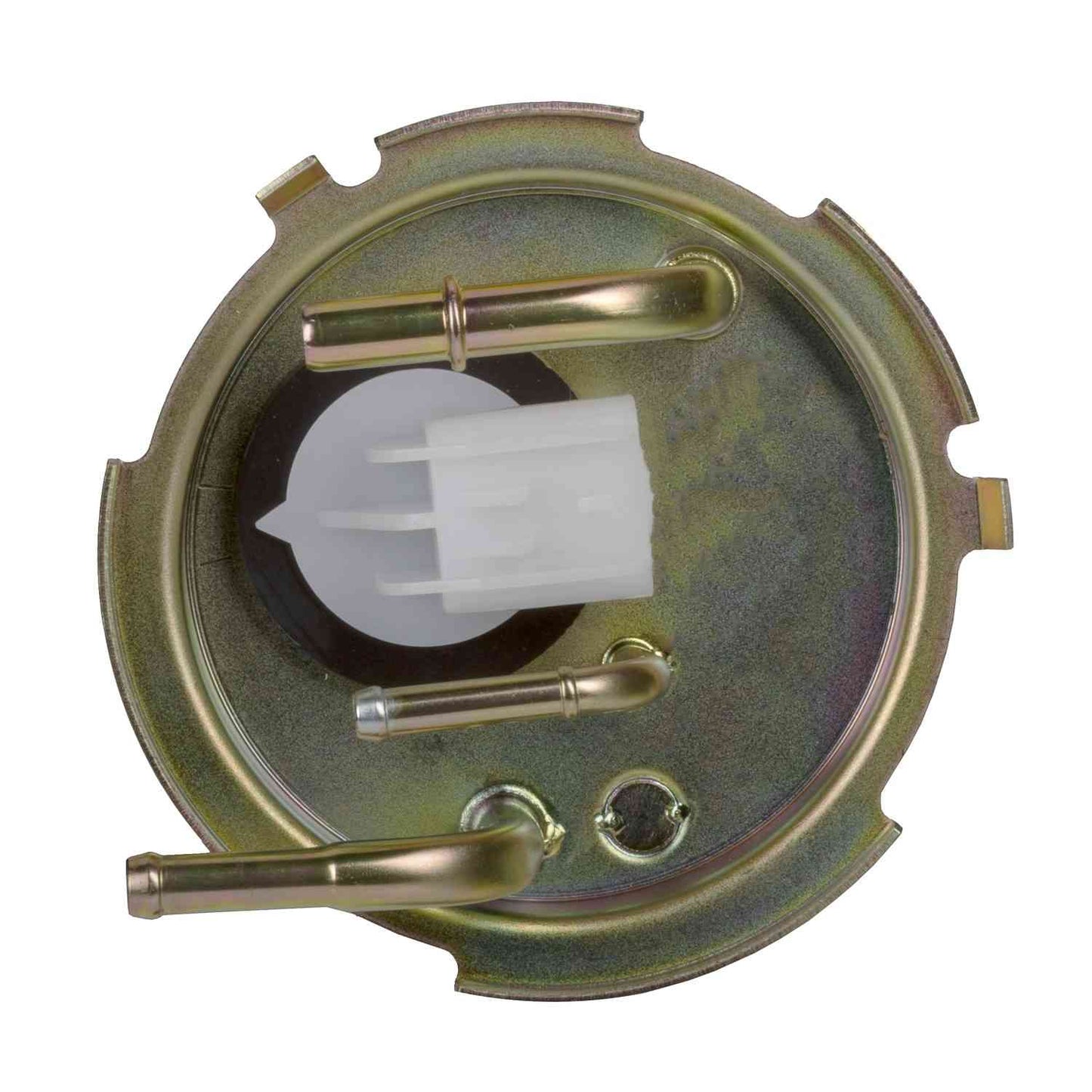 Carter Fuel Pump Module Assembly