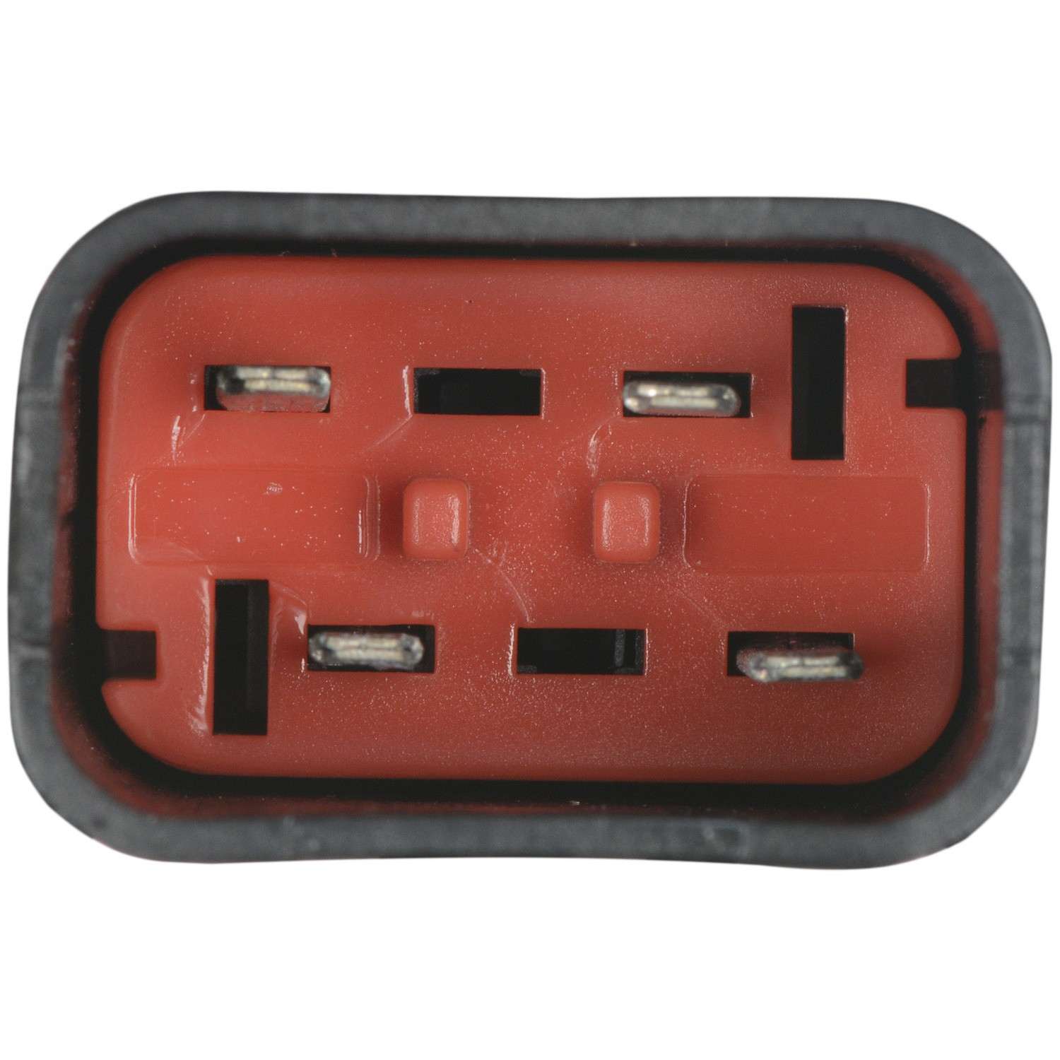 Carter Fuel Pump Module Assembly