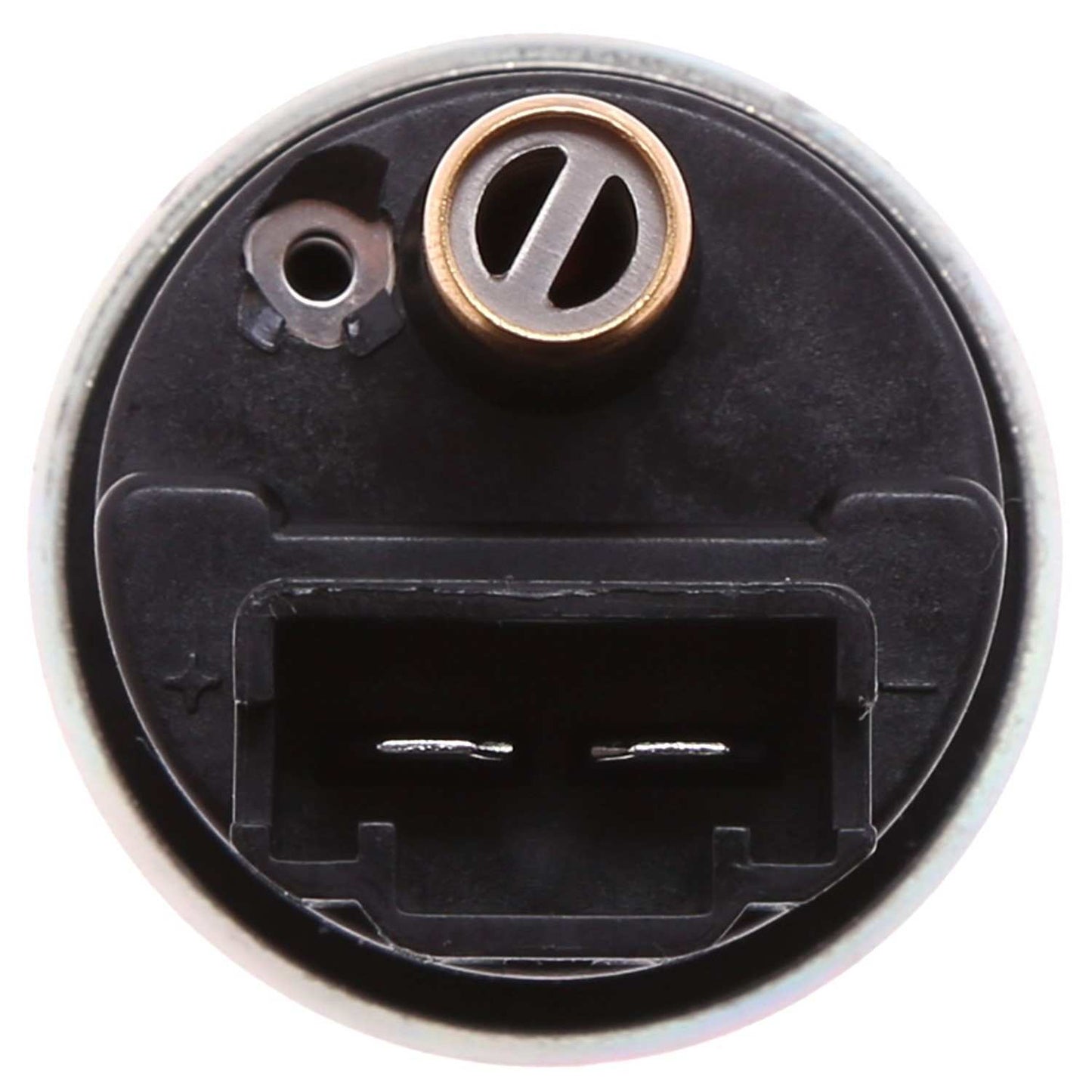 Carter Fuel Pump and Strainer Set P76104