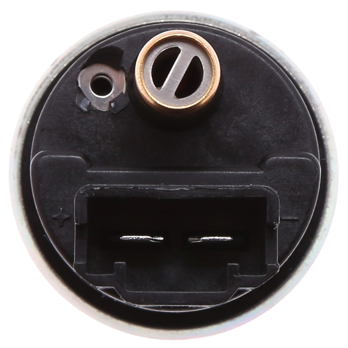 Carter Fuel Pump and Strainer Set P76104