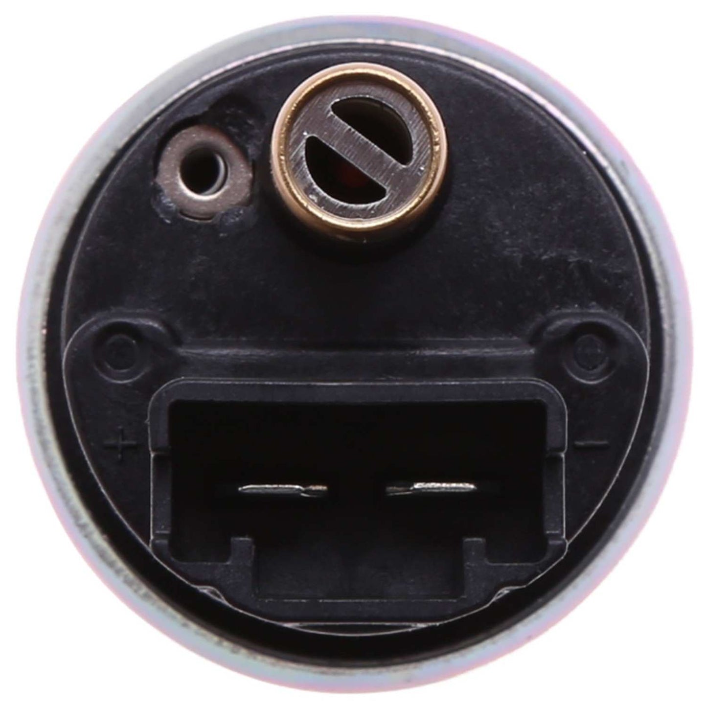 Carter Fuel Pump and Strainer Set P76231