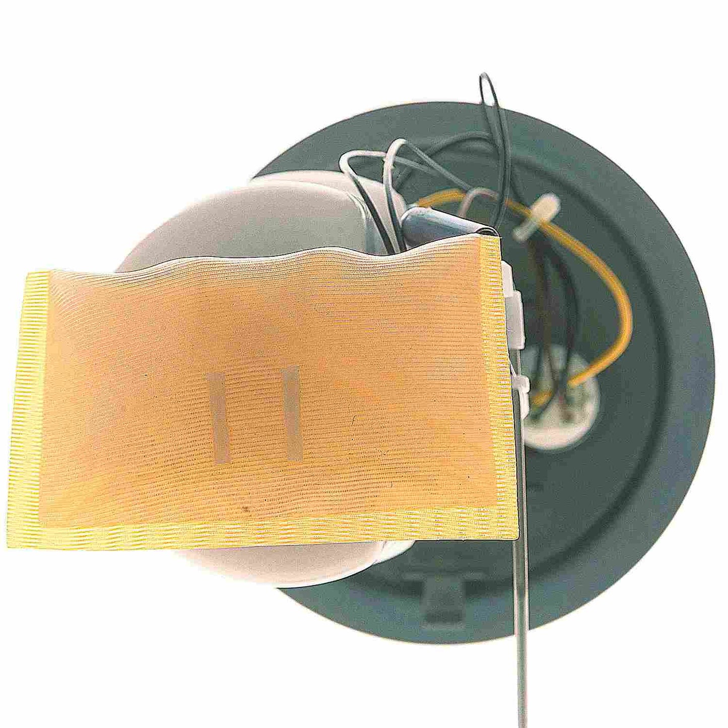Carter Fuel Pump Module Assembly P76431M