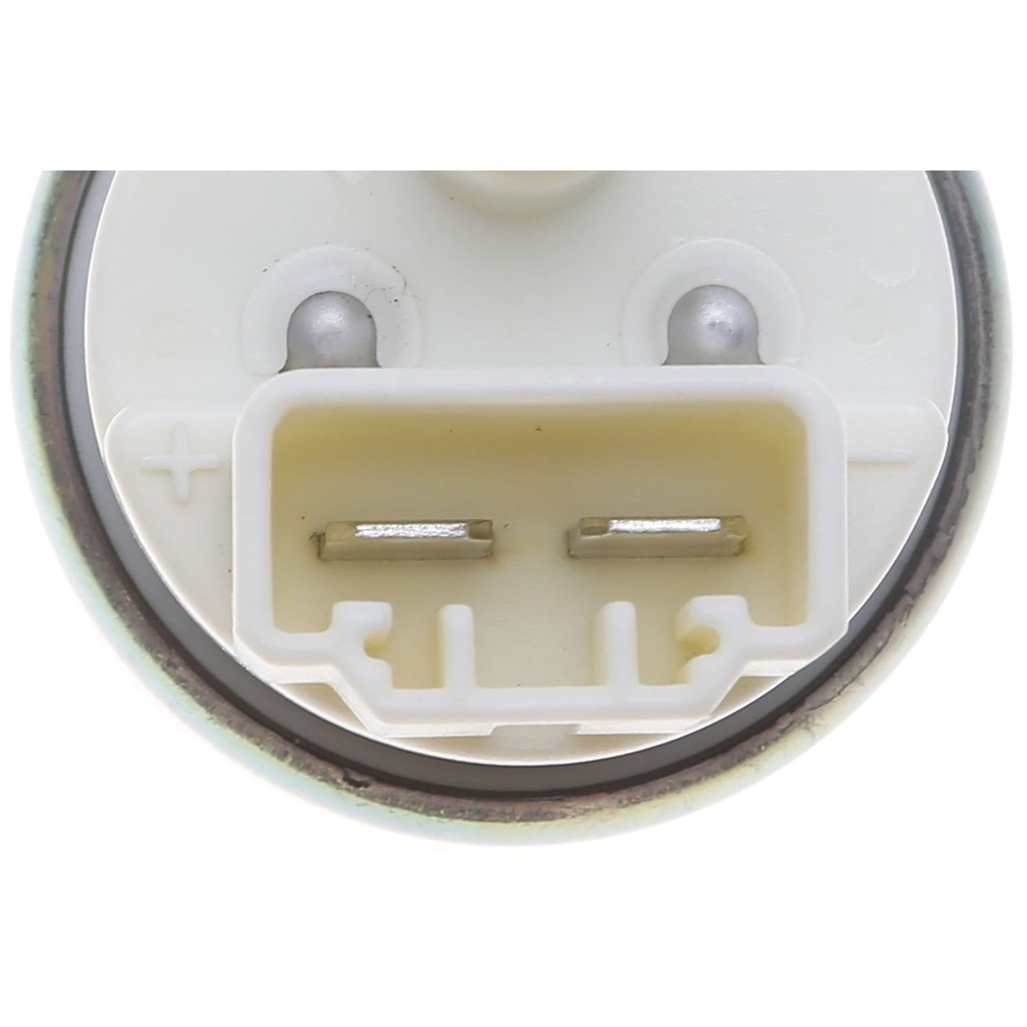 Carter Fuel Pump and Strainer Set P76819