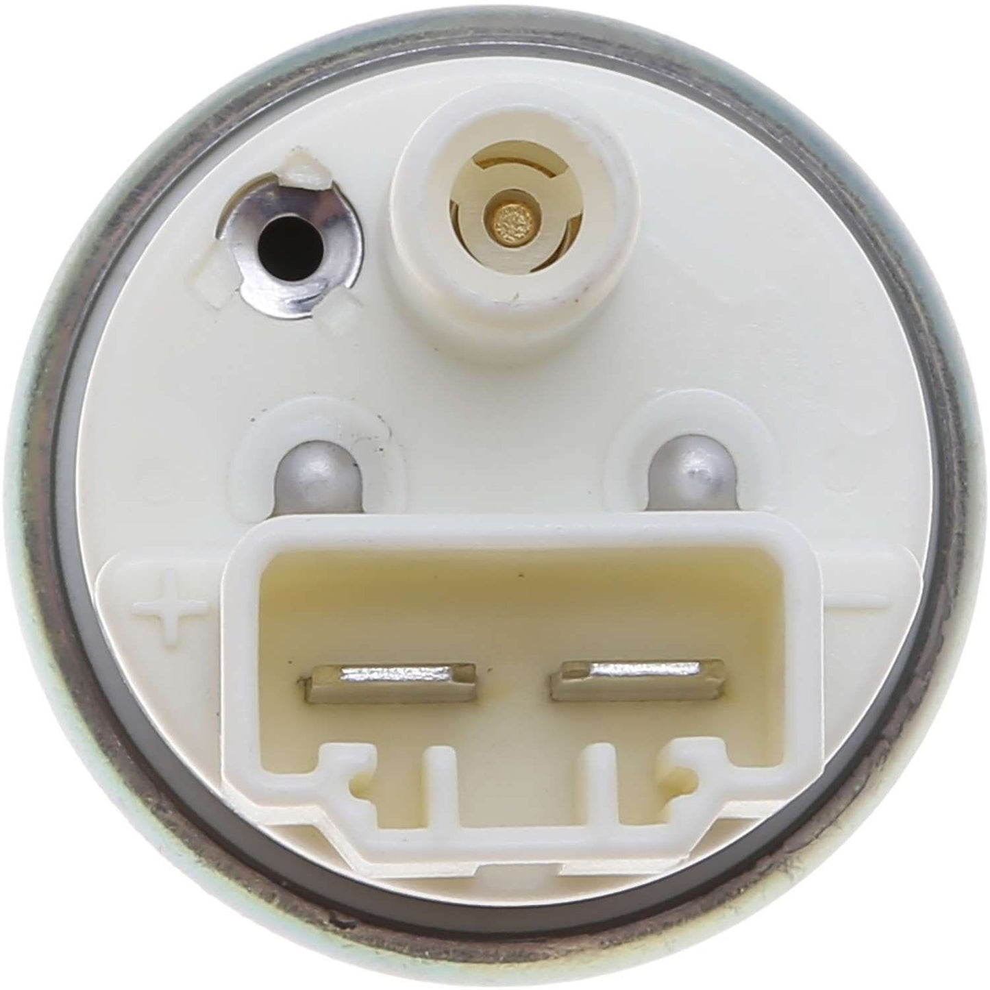 Carter Fuel Pump and Strainer Set P76819