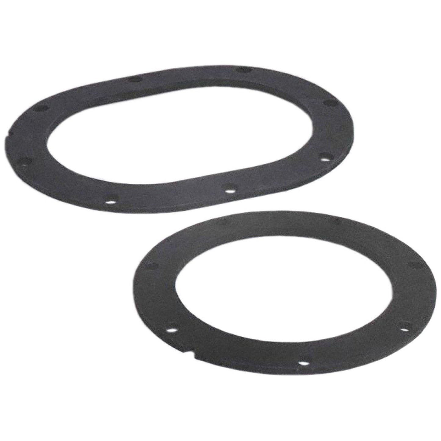 Carter Fuel Pump Tank Seal PTS2005