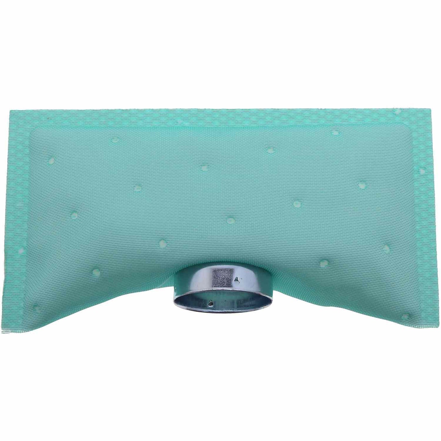 Carter Fuel Pump Strainer STS-203