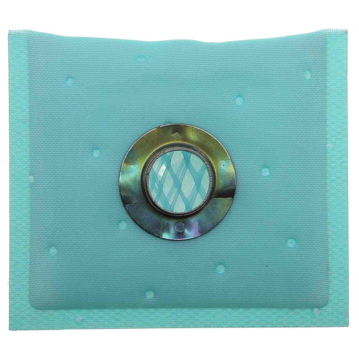 Carter Fuel Pump Strainer STS-206