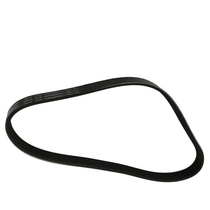 SKP Serpentine Belt SK050264