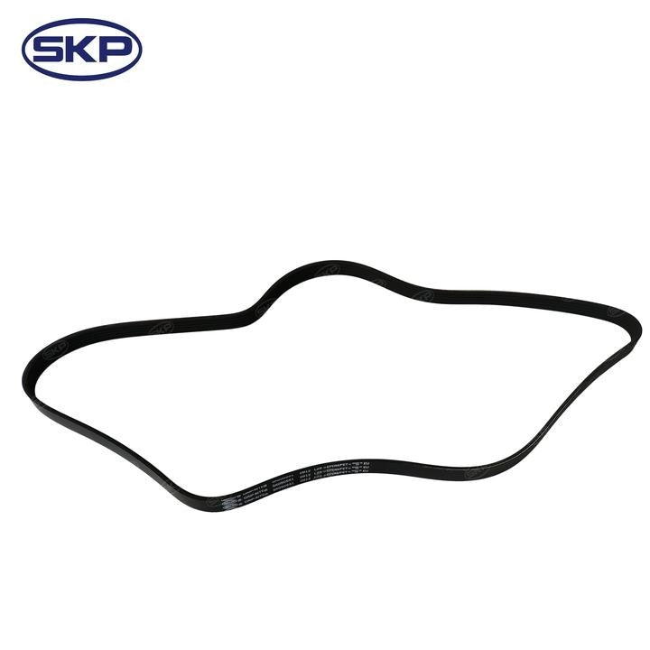 SKP Serpentine Belt SK050551