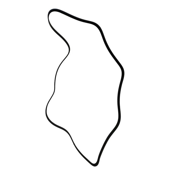 SKP Serpentine Belt SK060825