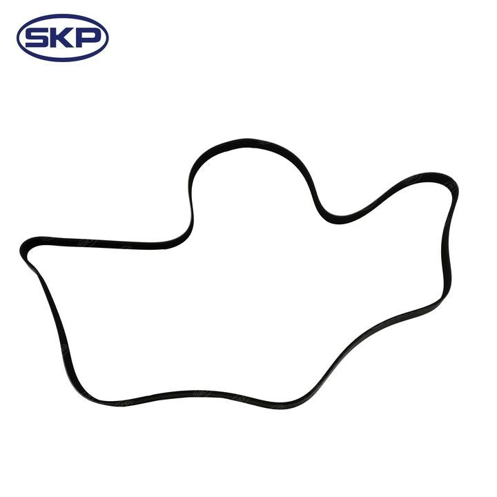 SKP Serpentine Belt  top view frsport SK060866