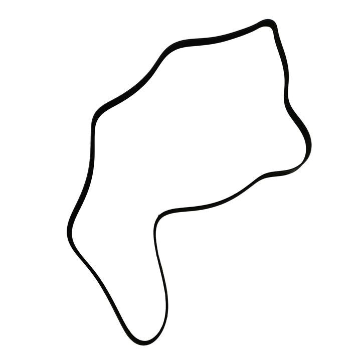 SKP Serpentine Belt SK060868