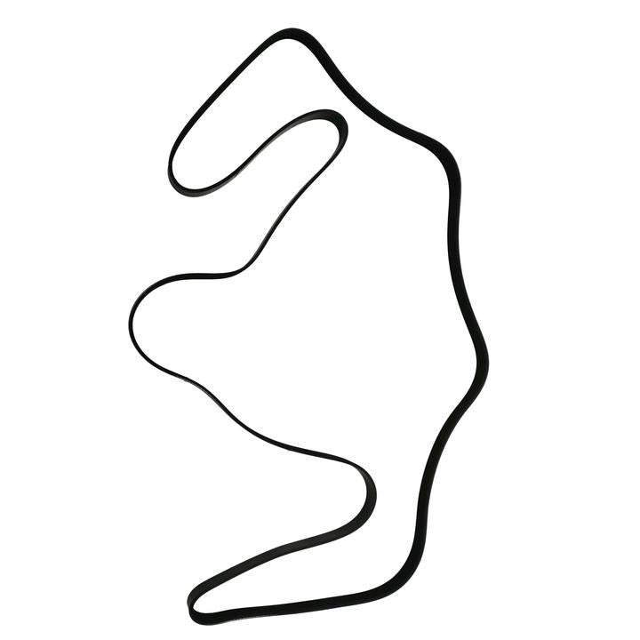 SKP Serpentine Belt SK061058