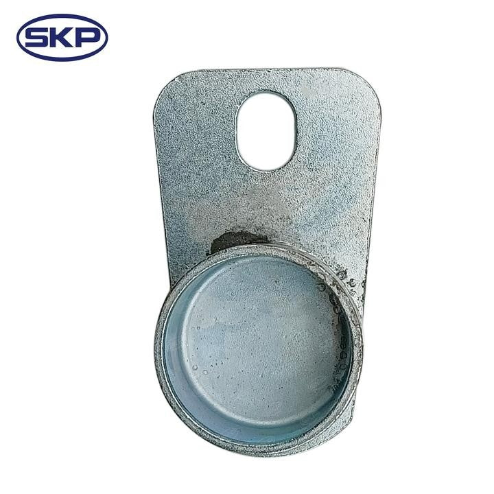 SKP Tailgate Hinge Kit SK691087