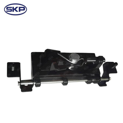 SKP Liftgate Latch Handle SK79600 main image