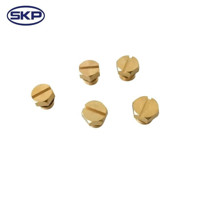 SKP Diesel Fuel Filter Bleeder Screw SK904112HP