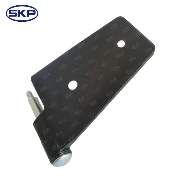 SKP Door Hinge SK925053