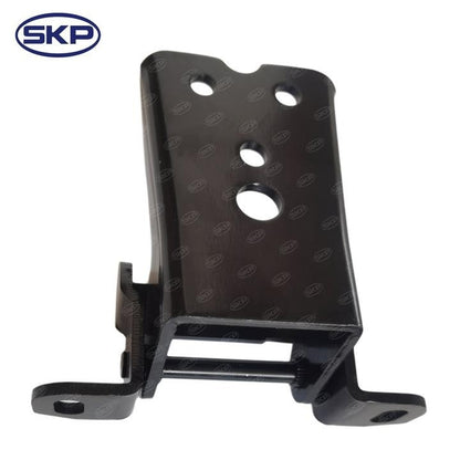 SKP Door Hinge SK925068