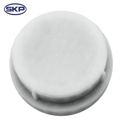 SKP Brake Master Cylinder SKM390089